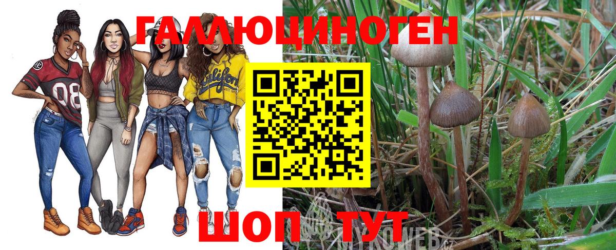 Псилоцибиновые грибы прущие грибы Котлас