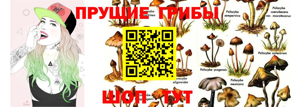 Галлюциногенные грибы Psilocybine cubensis  Вход с VPN  Галлюциногенные грибы Psilocybe  Котлас 