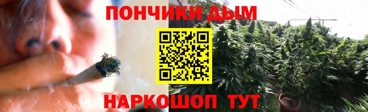 Котлас  Бошки Шишки план  Вход с VPN  МАРИХУАНА сатива 